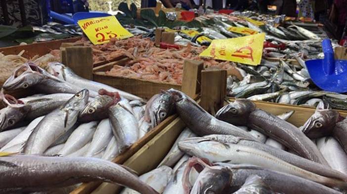 Palamutta da hile! Farkları tek tek sıraladık: Balıkçılar vatandaşı kandırıyor! 5